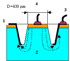SI PD.gif (3988 bytes)